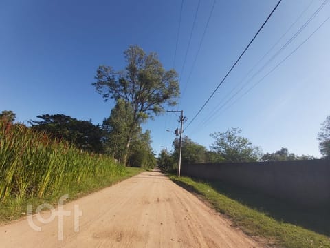Image 49 - 239663